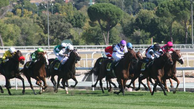 Sigue en directo la jornada en el Hipódromo de la Zarzuela