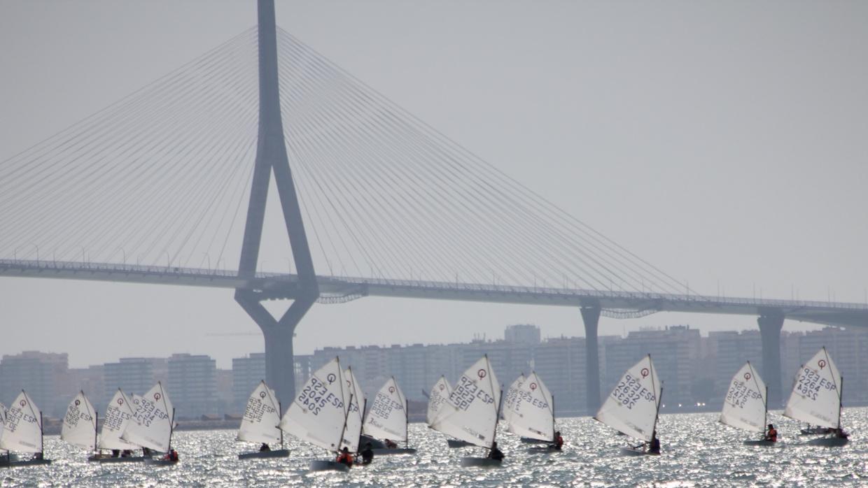 Grosso, los hermanos Álvarez-Dardet y María Fernández, ganadores del provincial de Optimist