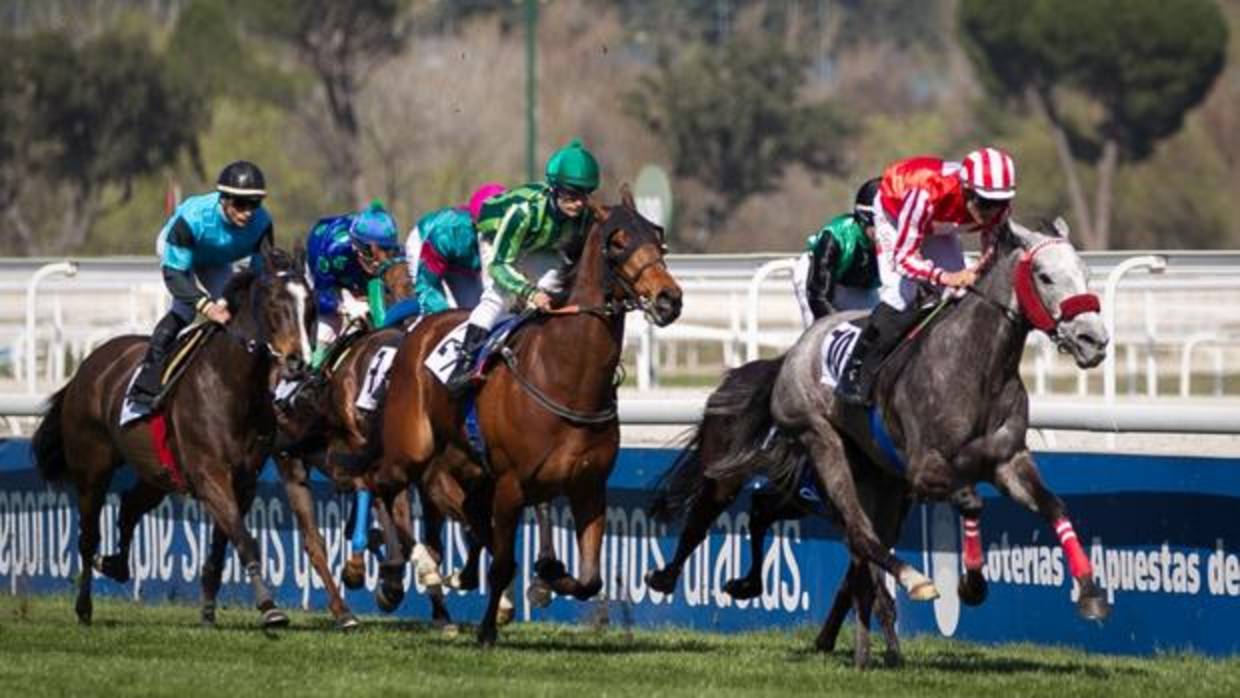 Carreras de caballos en el Hipódromo de la Zarzuela