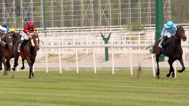 Inapelable triunfo de «Almorox» en su segundo Gran Premio de la Hispanidad