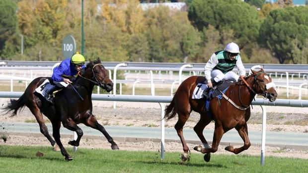 «Kiko» confirma favoritismo, imponiéndose en el Gran Premio Ramón Mendoza