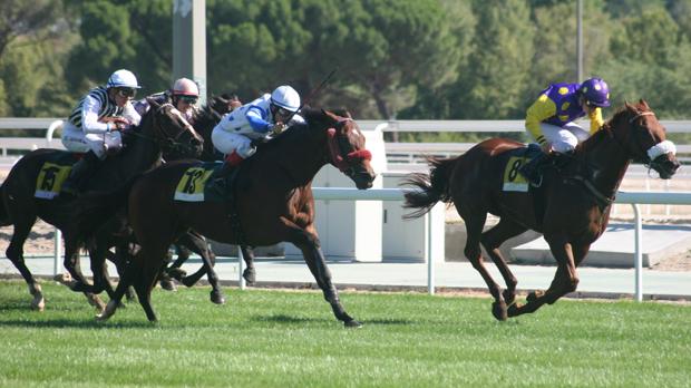 Sigue en directo la jornada en el Hipódromo de La Zarzuela