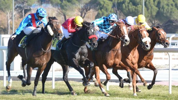 Sigue en directo la jornada en el Hipódromo de la Zarzuela