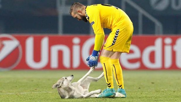 La tierna imagen del portero del Vardar con un perro en mitad de un partido de la Europa League