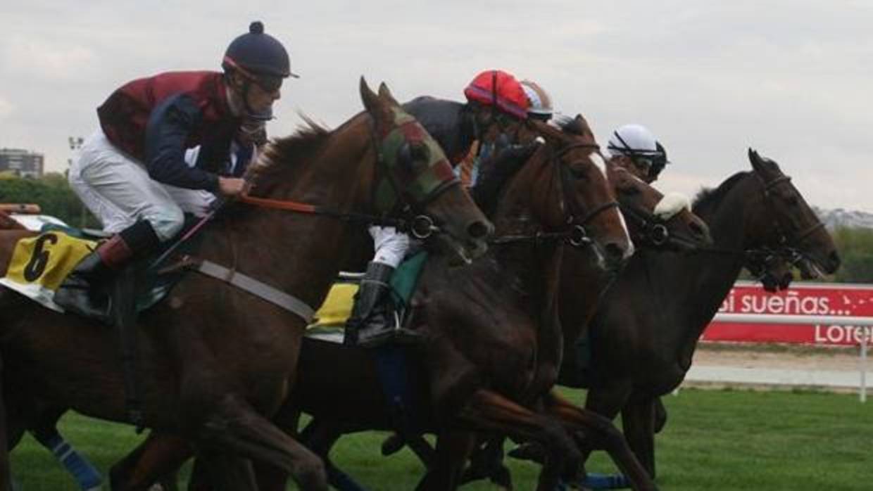 Carreras de caballos en el Hipódromo de la Zarzuela