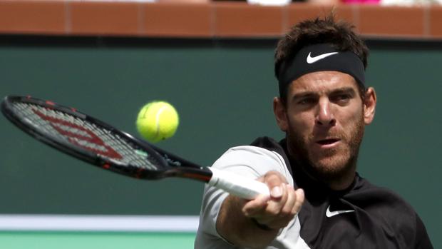 Del Potro frena a Federer