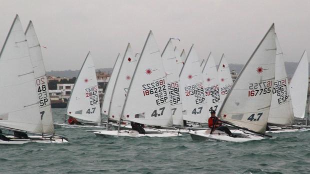 Miguel Angel Cámara (Optimist) e Ignasi Torrandell (Laser 4.7), lideres del Trofeo Cluma