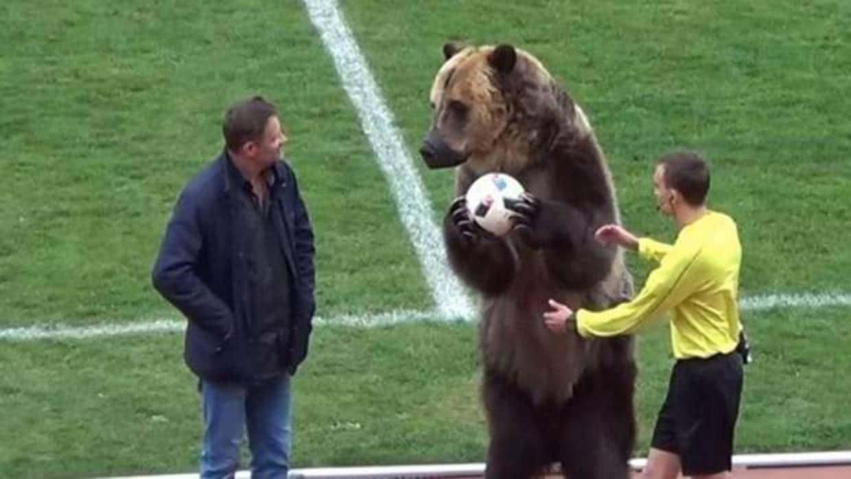 El oso entrega el balón del partido al árbitro