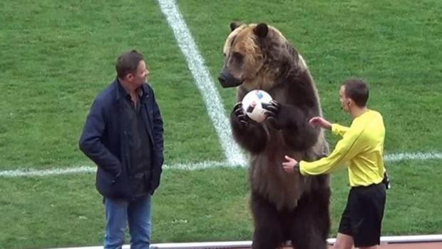El saque de honor de un oso en el fútbol ruso