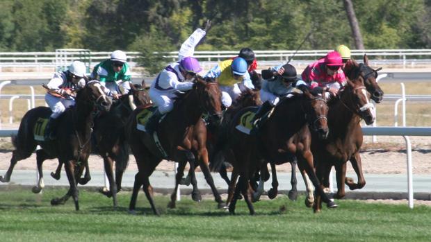 Karlsburg, Arguero y Alaraz, favoritos en el Gran Premio Duque de Alburquerque