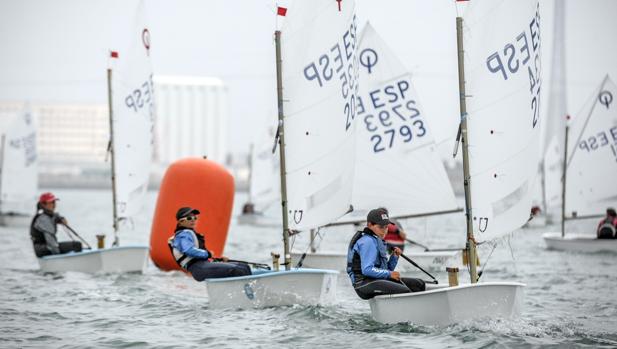 Álvarez-Dardet, Arauz, Medel, Báñez y Bautista, campeones de Andalucía de Optimist