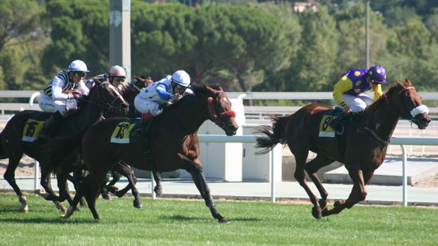 Sigue en directo la jornada en el Hipódromo de la Zarzuela