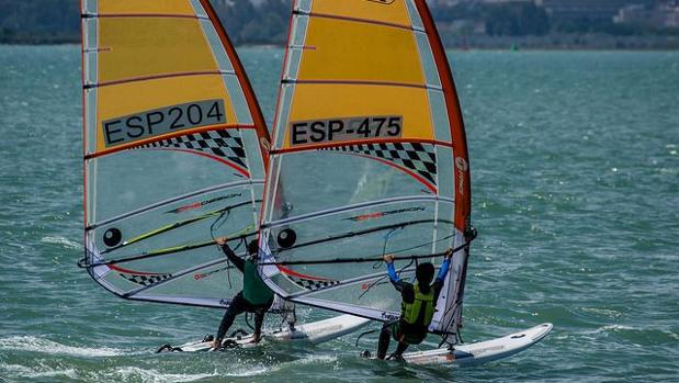 Palomino, Terry, Manchón y Samalea, campeones de Andalucía