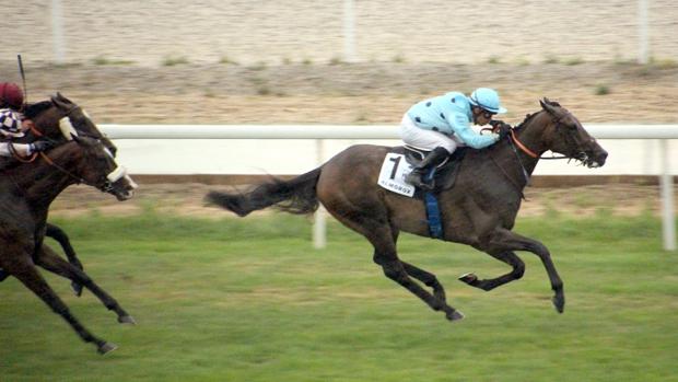 Sigue en directo la jornada en el Hipódromo de La Zarzuela