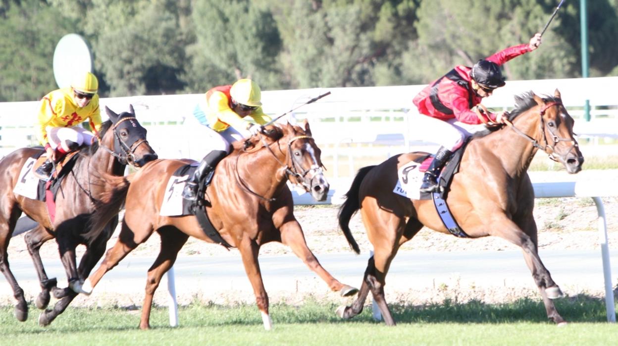 Carreras de caballos en el Hipódromo de la Zarzuela