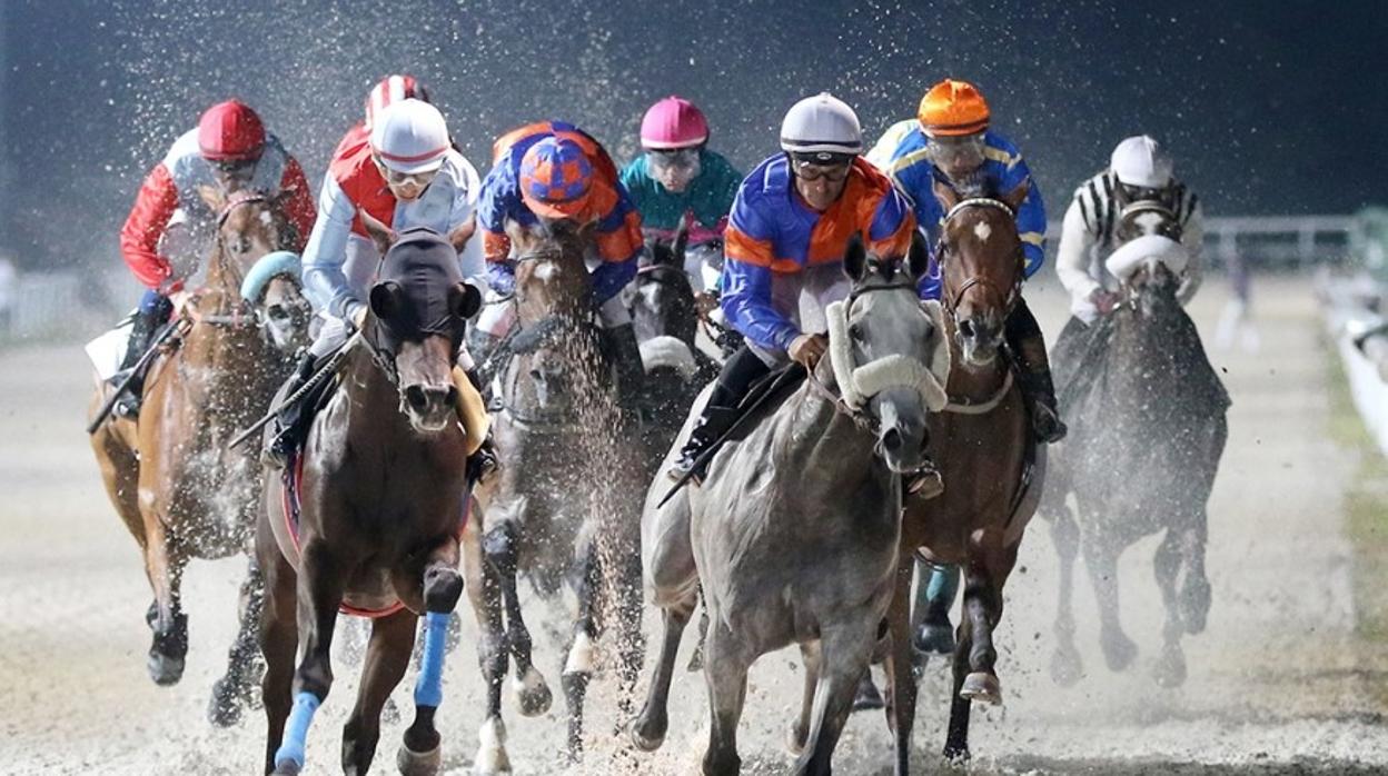 «Gigi», «Piquio» y «Dosnueveuno», vencedores en la noche del hipódromo de la Zarzuela