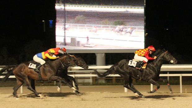 Sigue en directo la jornada nocturna en el Hipódromo de la Zarzuela