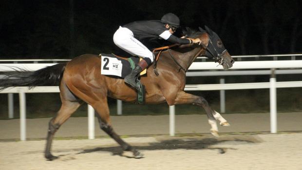 'Axe Cap', 'Quick Artist' y 'Embat', vencedores en la noche del Hipódromo de la Zarzuela