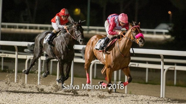 «Plunderer», «Lucky Star» y «Mungamis», vencedores en la noche madrileña