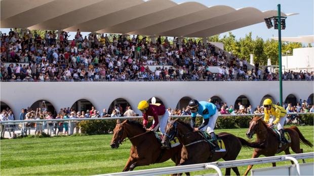 Sigue en directo la jornada en el Hipódromo de la Zarzuela