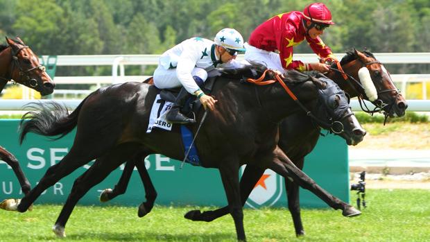 'Noray' contra 'Arguero' y 'Doctor Óscar' en el Gran Premio de la Hispanidad