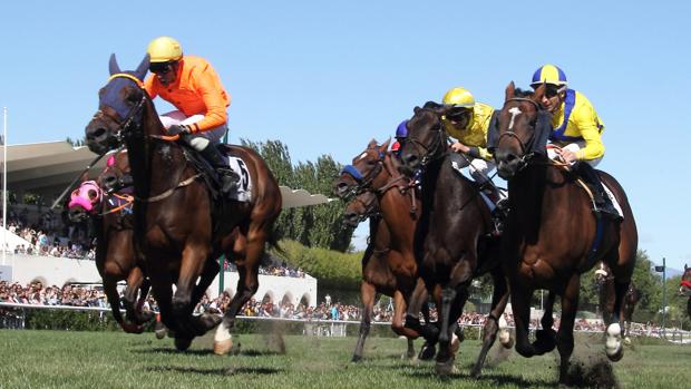 Sigue en directo la jornada en el Hipódromo de La Zarzuela