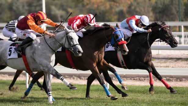 «Bali Beach», «Caleta» y «Arenal», duelo a tres en el Premio Ramón Mendoza