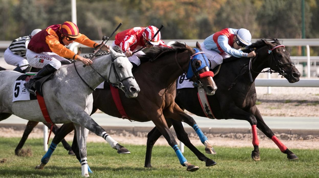 Carreras de caballos en el hipódromo de La Zarzuela