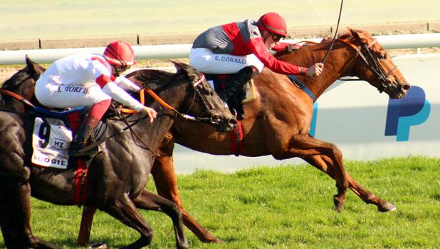 «Another Day of Sun» vence a lo campeón en el Gran Premio Antonio Blasco