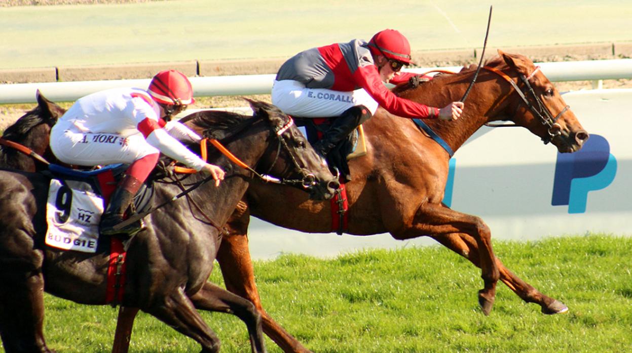 «Another Day of Sun», ganador del Gran Premio Antonio Blasco