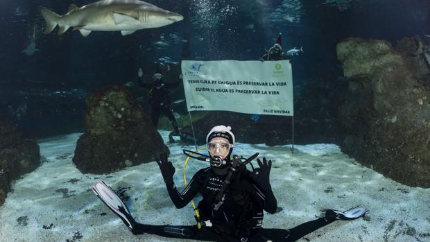 Ona Carbonell se sincroniza con tiburones