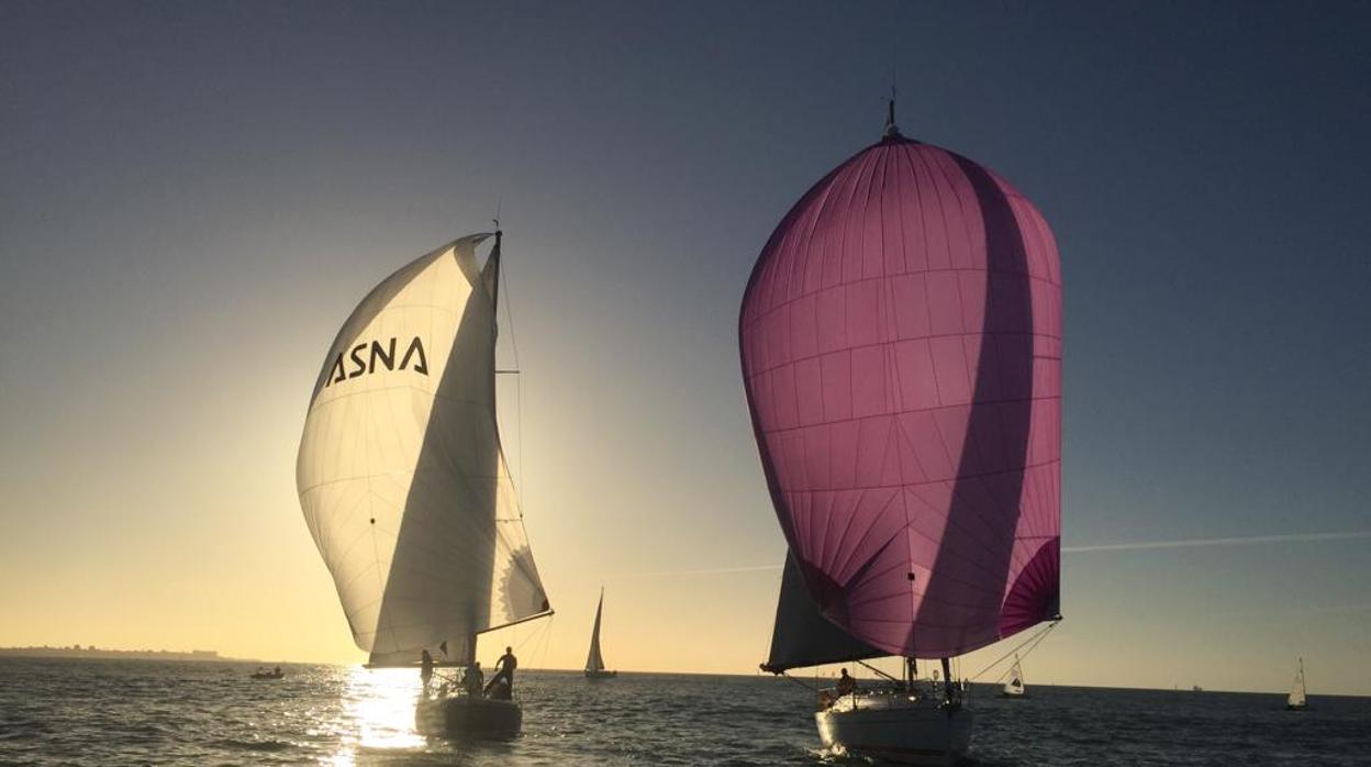 La competición se celebró en las aguas de la Bahía de Cádiz.