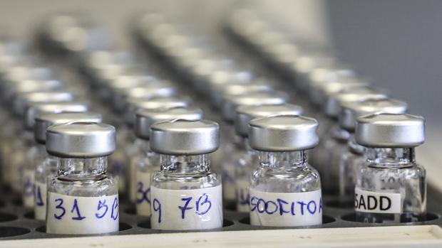 La AMA denuncia que Rusia puso trabas a las inspecciones