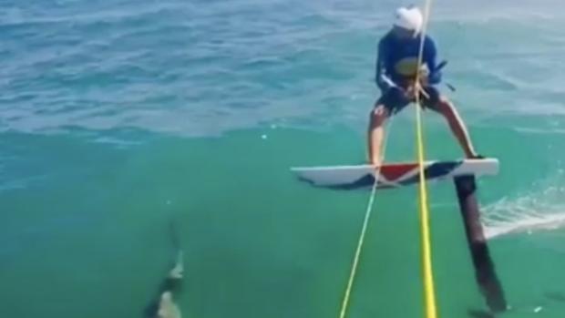 Brutal choque de un deportista con un tiburón