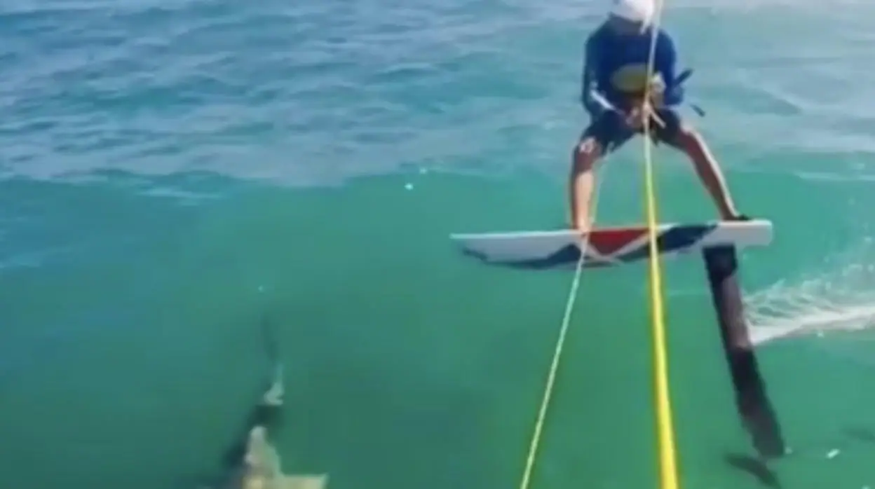 Brutal choque de un deportista con un tiburón