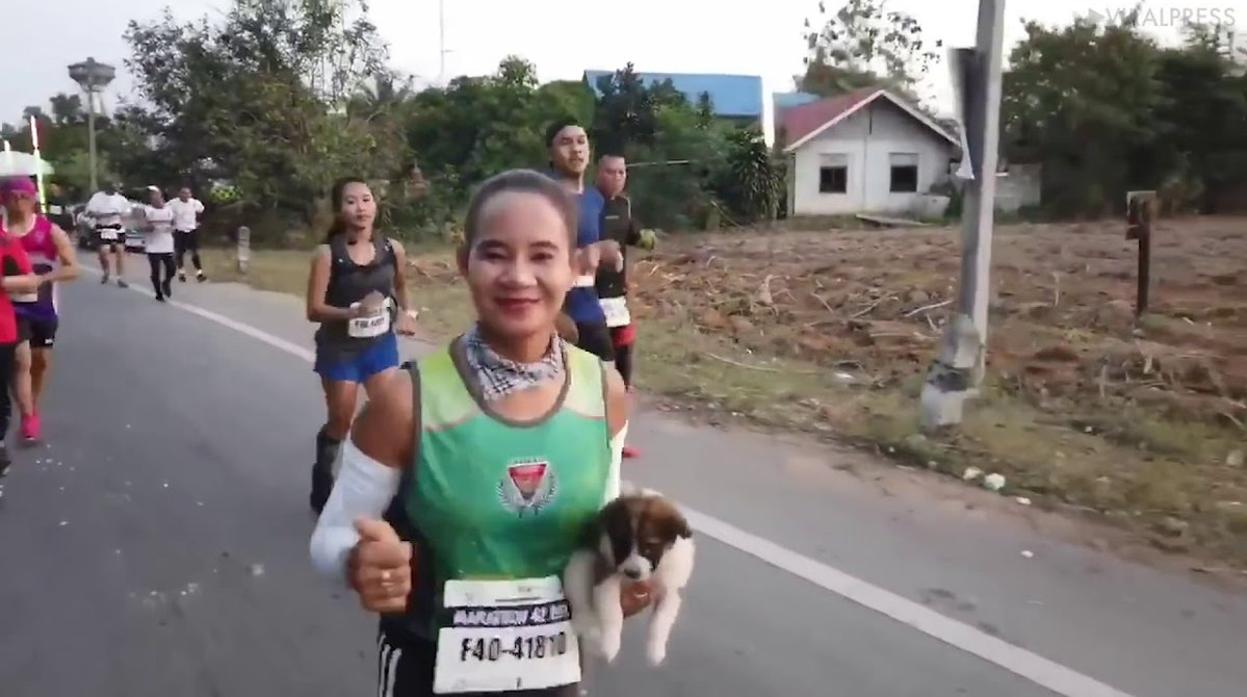 Rescata a un perro en pleno maratón y recorre con él los últimos 30 kilómetros