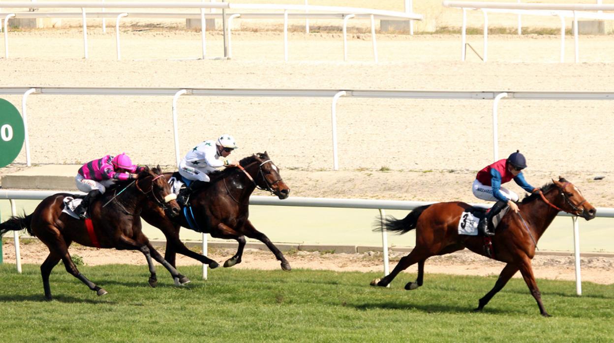 Barbarigo, ganador en el Premo Caporal