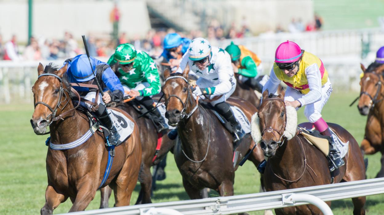 Carreras de caballos en el Hipódromo de la Zarzuela