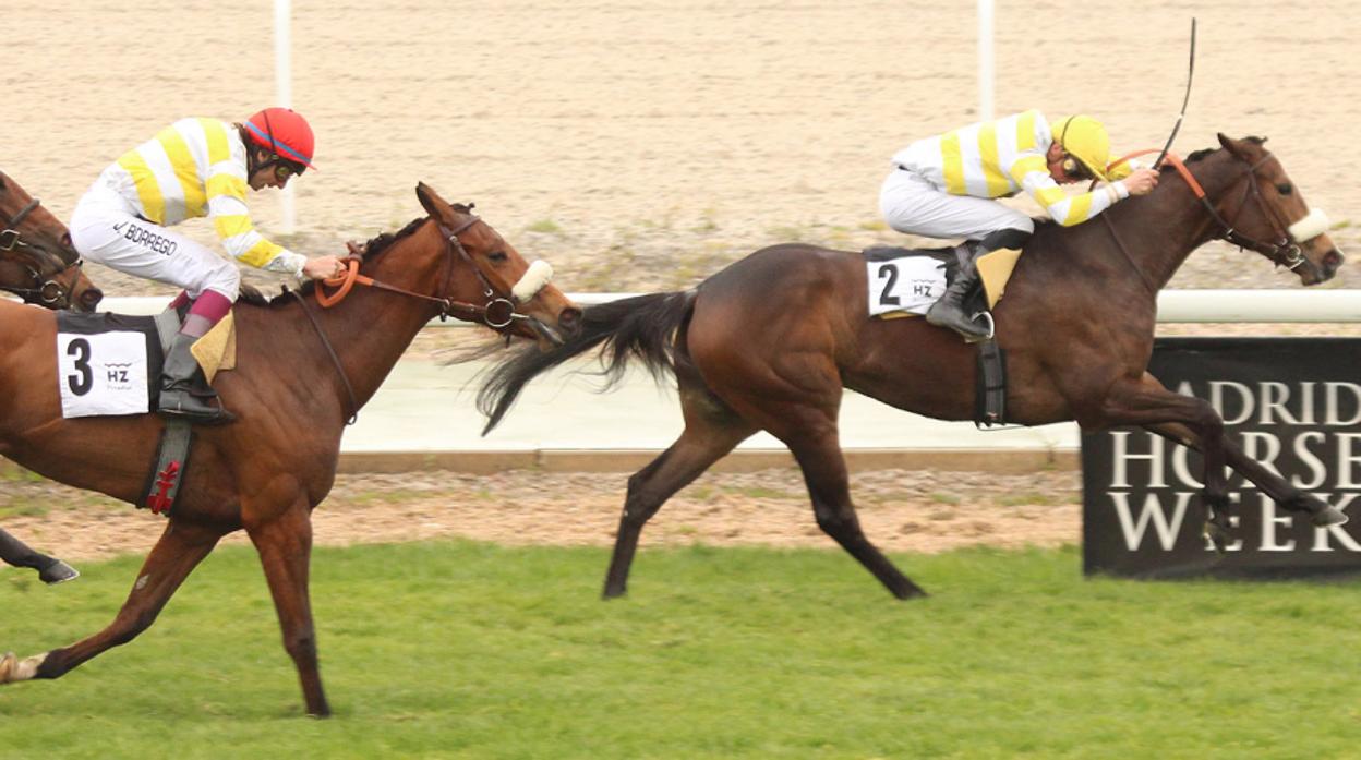 Udalla y Bielva, en el Premio Atlántida