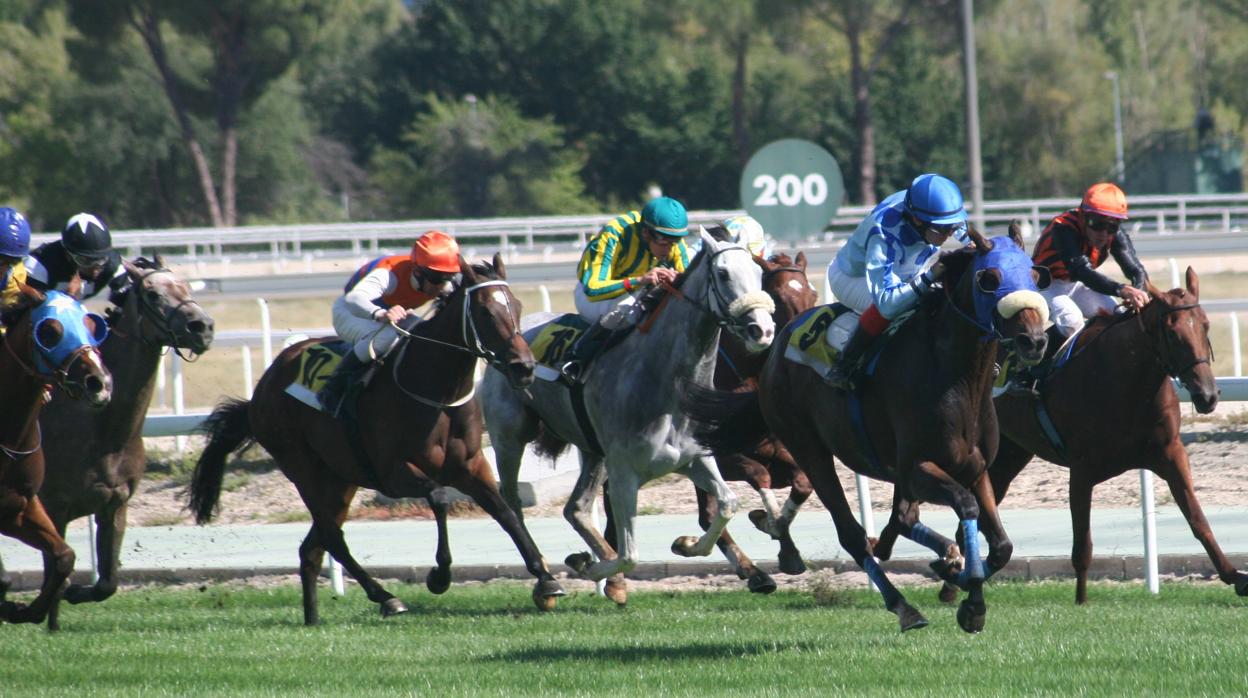 Resacón y Sir Roque, favoritos en el Gran Premio Cimera–Poule de potros