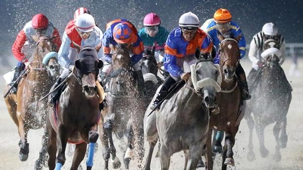 Un verano más vuelven 'Las noches del hipódromo'