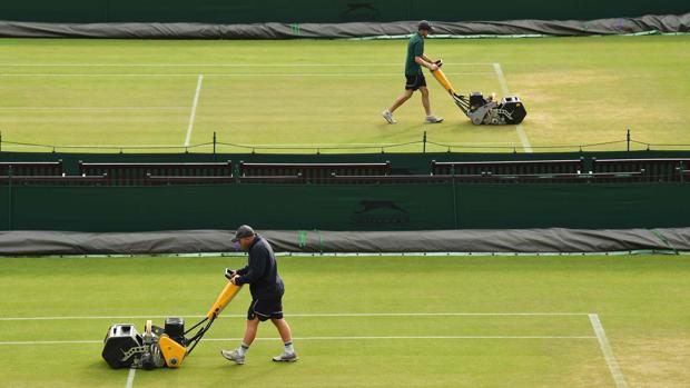 ¿Está la hierba de este Wimbledon más lenta?