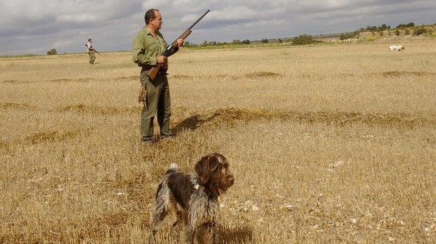 La Federación pide a los cazadores especial cuidado con sus perros por las altas temperaturas