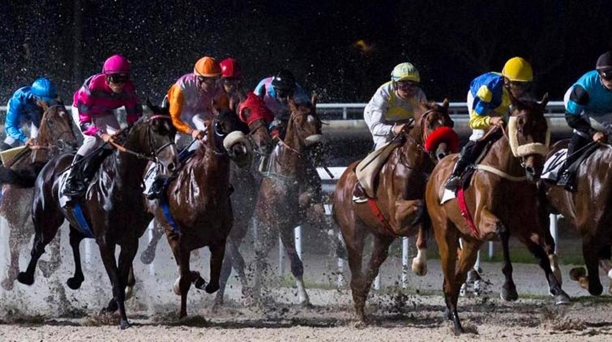 Sigue el espectáculo de «Las noches del hipódromo»