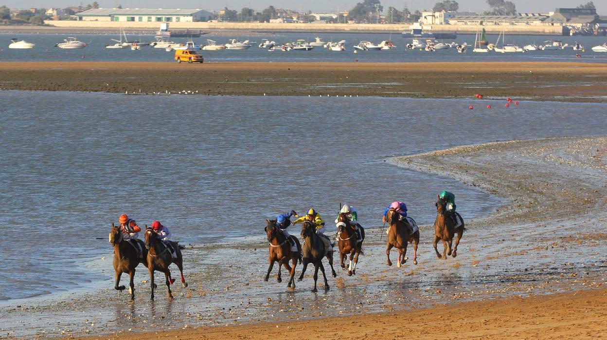 Más de 80 caballos serán protagonistas en las arenas sanluqueñas.