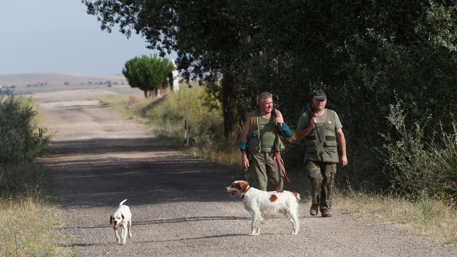 Campeonato de España de Recorridos de Caza