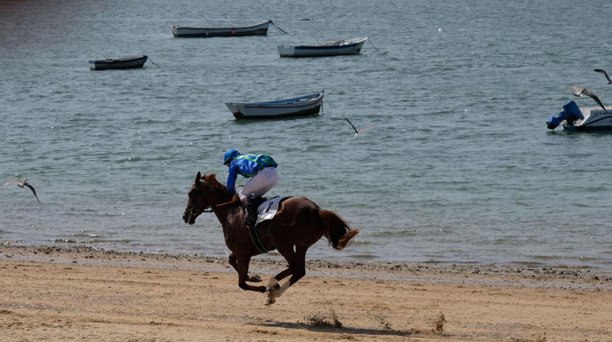 La temporada de carreras de caballos llega este martes a su fin en la arena de Sanlúcar de Barrameda.