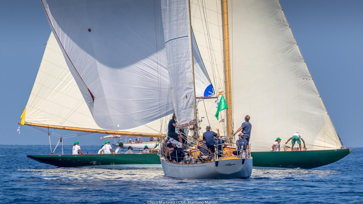 Argos y Olympia, ganadores de la XVI Copa del Rey de Barcos de Época en sus respectivas clases