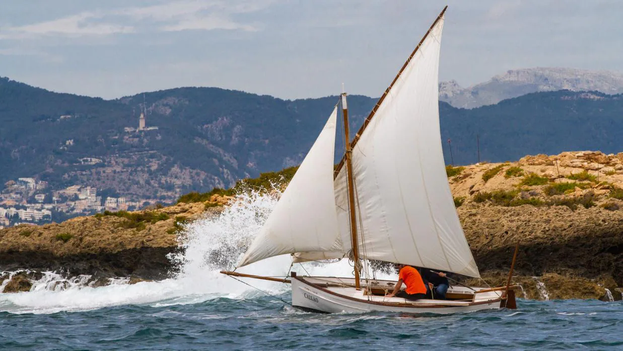 Récord de embarcaciones tradicionales en la XXIII Diada de Vela Latina de Mallorca