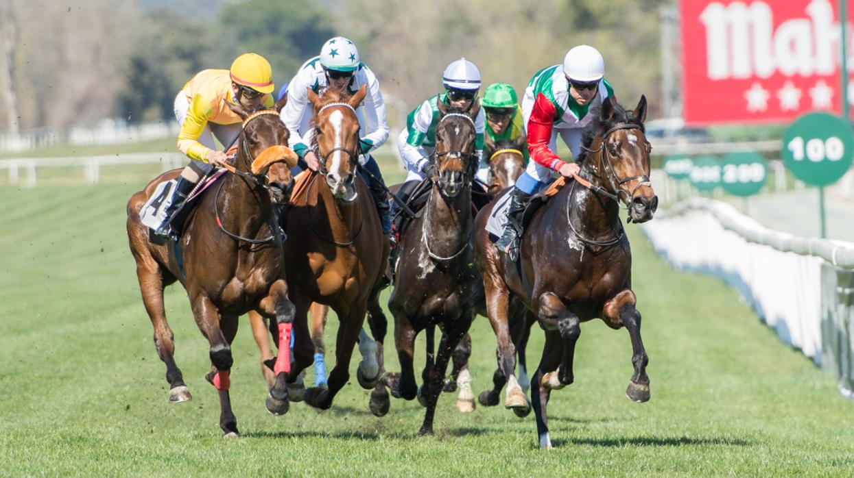 Este domingo vuelven las carreras de caballos a Madrid